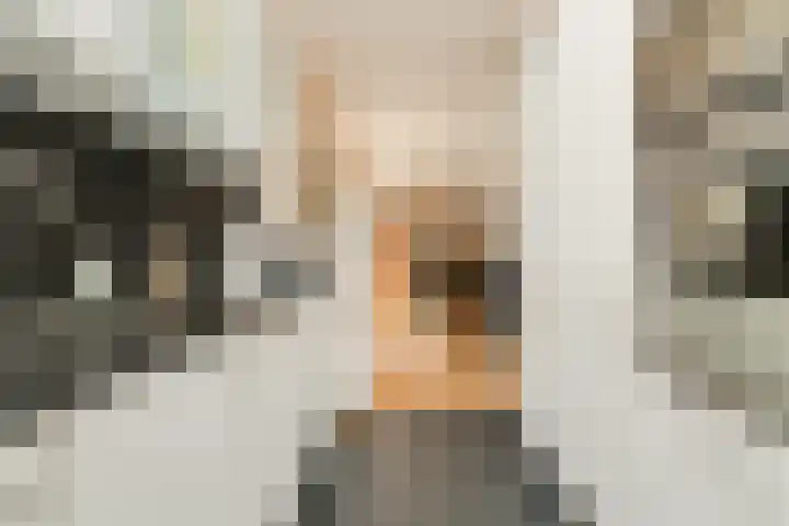 Benraatshoef 19 Raamsdonksveer thumbnail 25