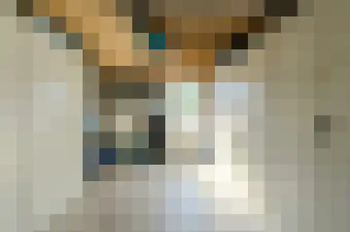 Benraatshoef 19 Raamsdonksveer thumbnail 33