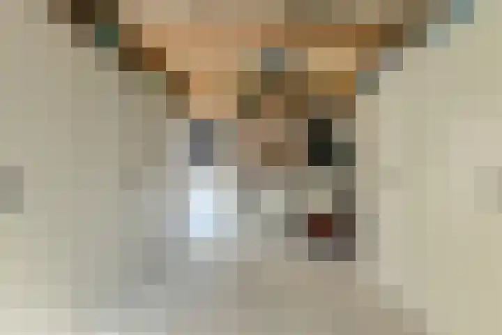 Benraatshoef 19 Raamsdonksveer thumbnail 34