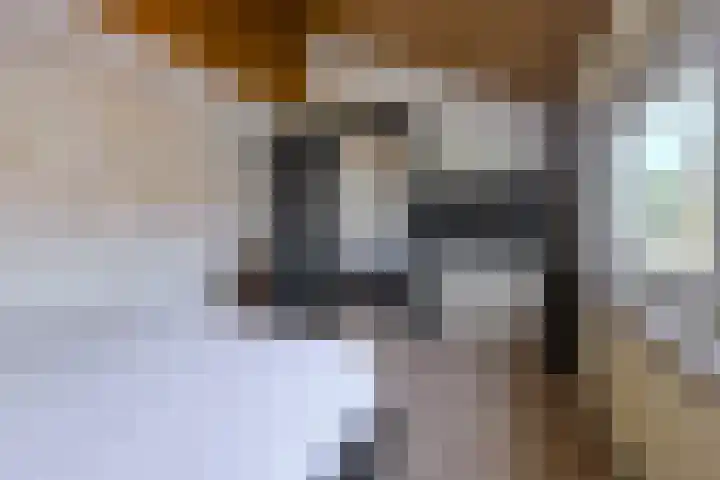 Benraatshoef 19 Raamsdonksveer thumbnail 37