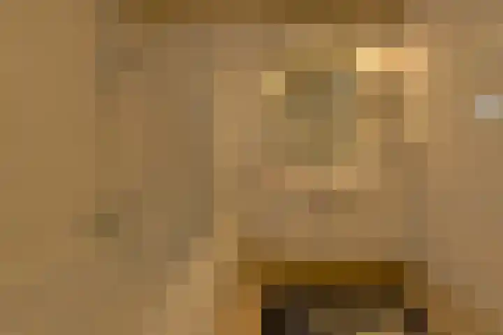Benraatshoef 19 Raamsdonksveer thumbnail 4