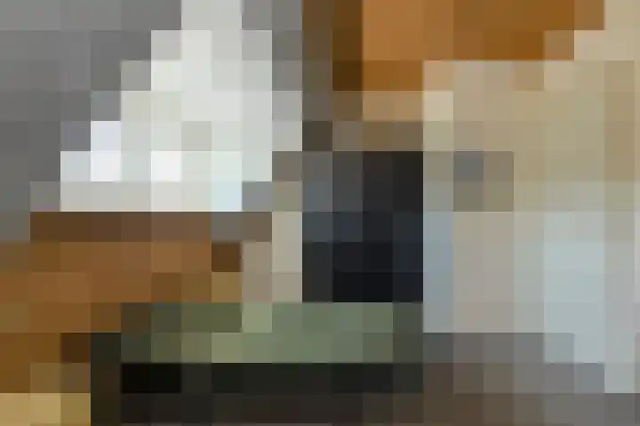 Benraatshoef 19 Raamsdonksveer thumbnail 48
