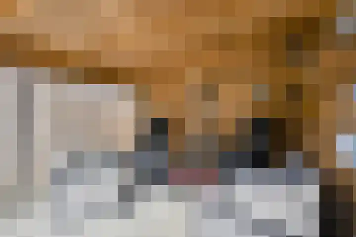 Benraatshoef 19 Raamsdonksveer thumbnail 54