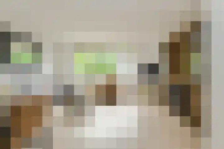 Benraatshoef 226 Raamsdonksveer thumbnail 10