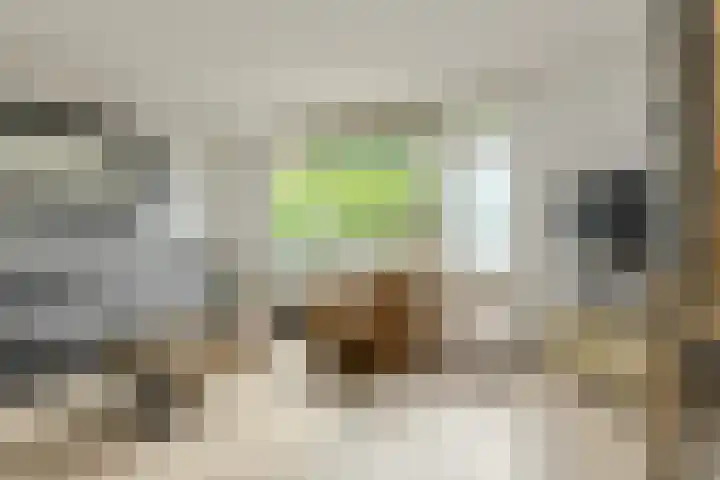 Benraatshoef 226 Raamsdonksveer thumbnail 11
