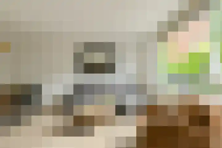 Benraatshoef 226 Raamsdonksveer thumbnail 12