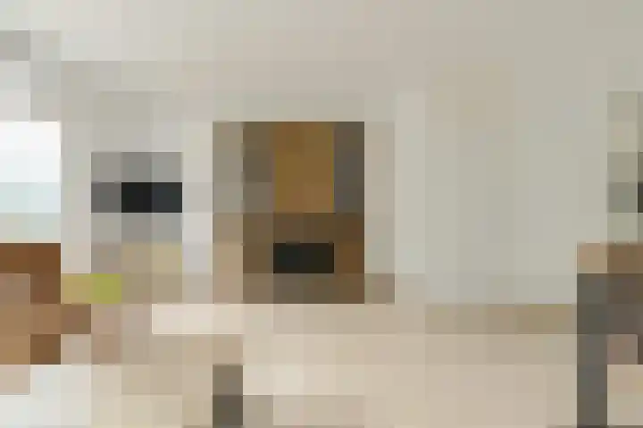 Benraatshoef 226 Raamsdonksveer thumbnail 13