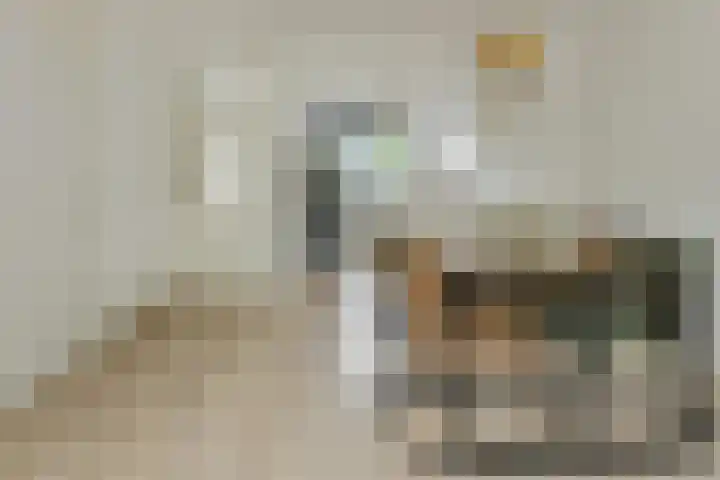 Benraatshoef 226 Raamsdonksveer thumbnail 15