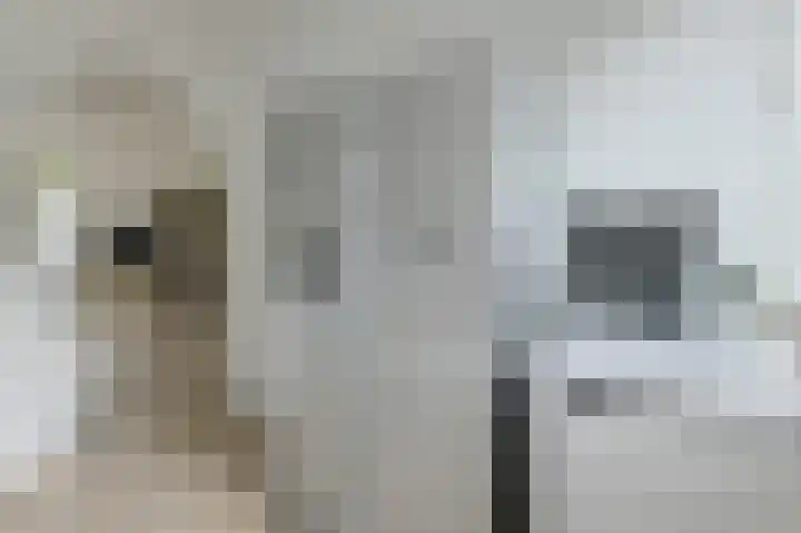 Benraatshoef 226 Raamsdonksveer thumbnail 19