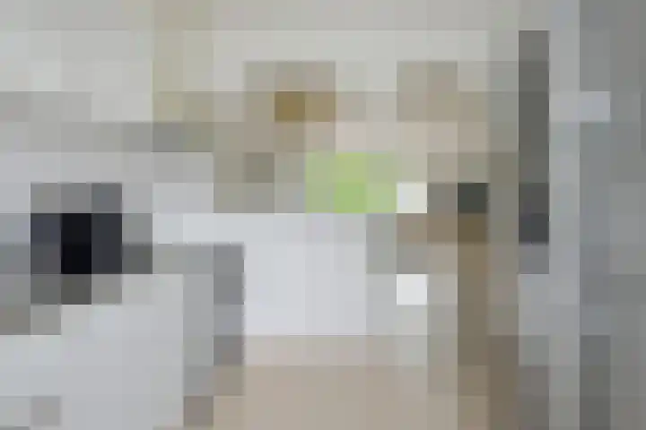 Benraatshoef 226 Raamsdonksveer thumbnail 20