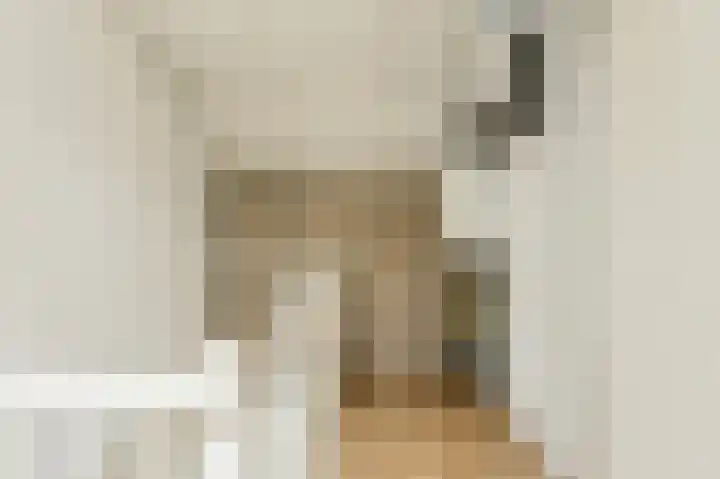 Benraatshoef 226 Raamsdonksveer thumbnail 37