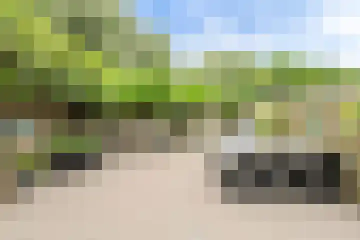 Benraatshoef 226 Raamsdonksveer thumbnail 41