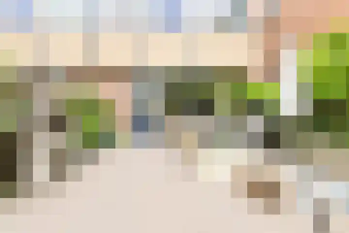 Benraatshoef 226 Raamsdonksveer thumbnail 43