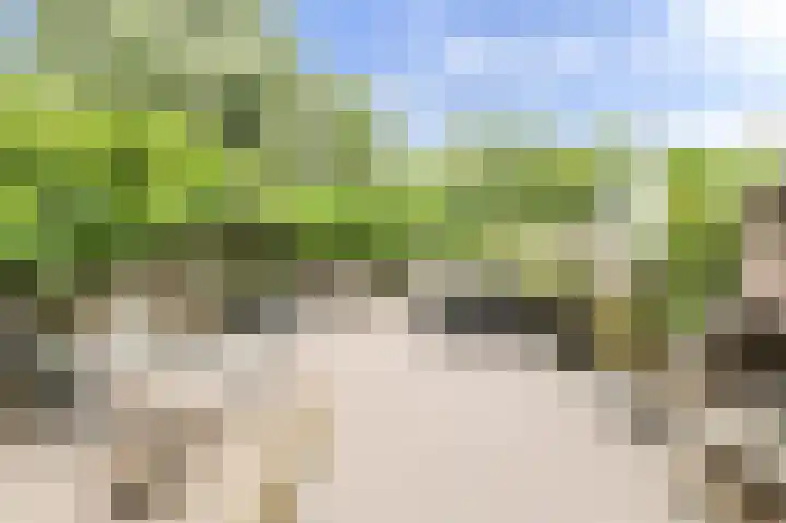 Benraatshoef 226 Raamsdonksveer thumbnail 5