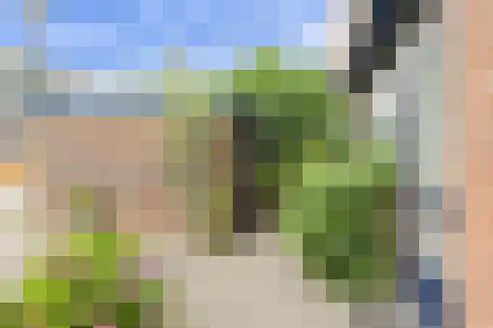 Benraatshoef 226 Raamsdonksveer thumbnail 9