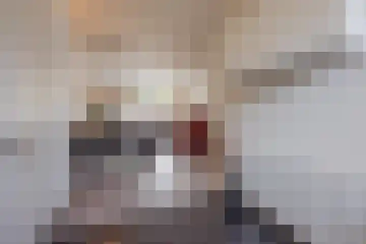 Benraatshoef 241 Raamsdonksveer thumbnail 16