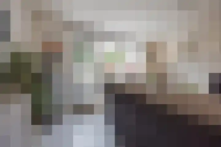 Benraatshoef 241 Raamsdonksveer thumbnail 18