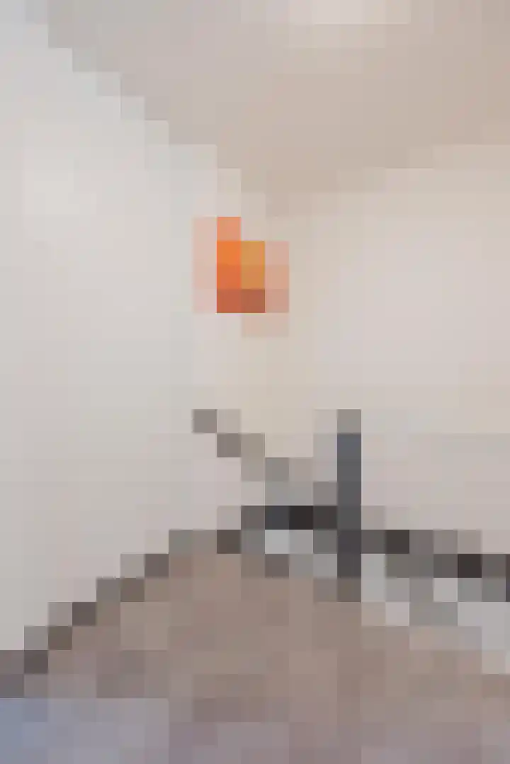 Benraatshoef 241 Raamsdonksveer thumbnail 22