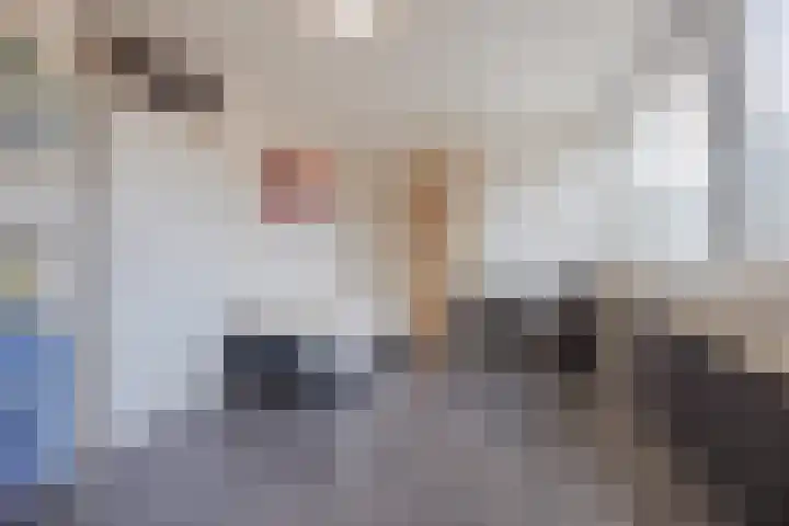 Benraatshoef 241 Raamsdonksveer thumbnail 27