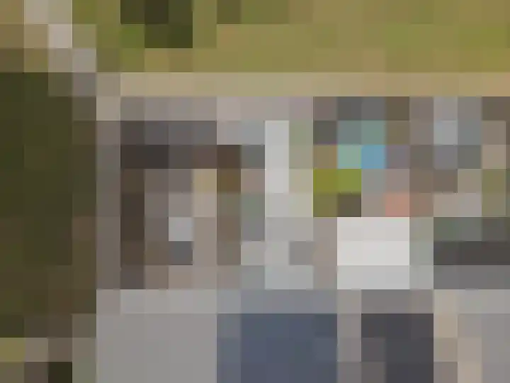 Benraatshoef 241 Raamsdonksveer thumbnail 34