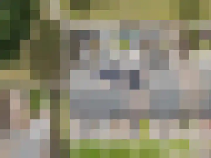 Benraatshoef 241 Raamsdonksveer thumbnail 35