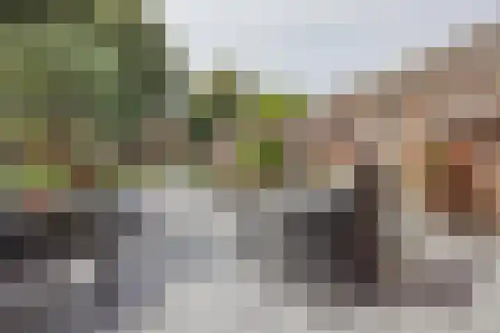 Benraatshoef 241 Raamsdonksveer thumbnail 36
