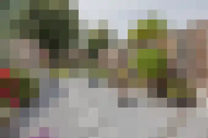 Benraatshoef 241 Raamsdonksveer thumbnail 38