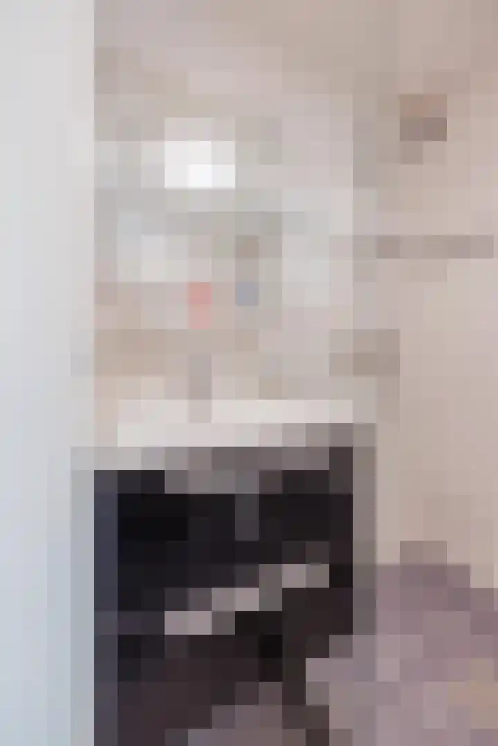 Benraatshoef 241 Raamsdonksveer thumbnail 4