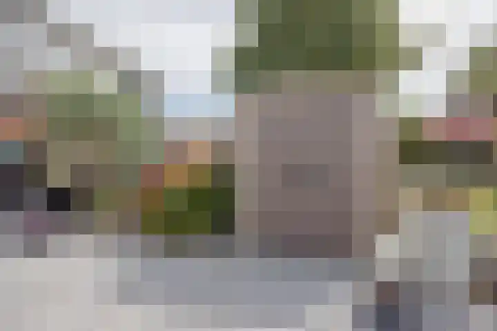 Benraatshoef 241 Raamsdonksveer thumbnail 40