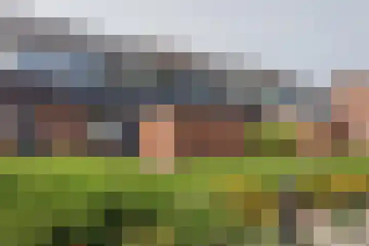 Benraatshoef 241 Raamsdonksveer thumbnail 45