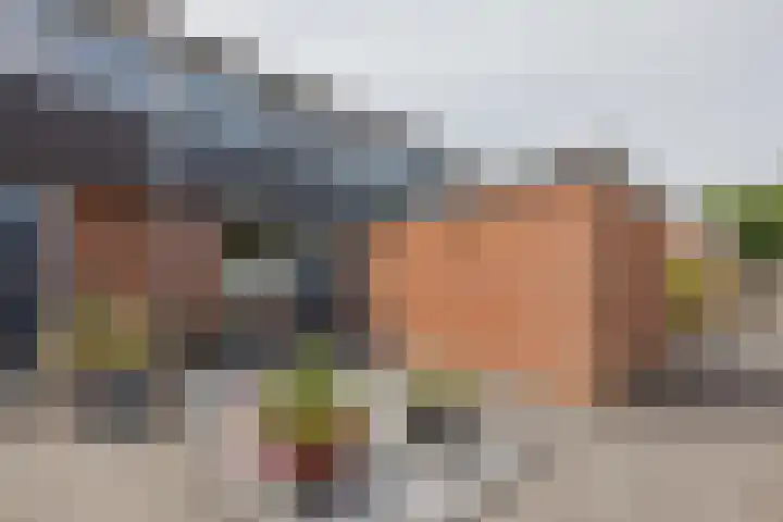 Benraatshoef 241 Raamsdonksveer thumbnail 9