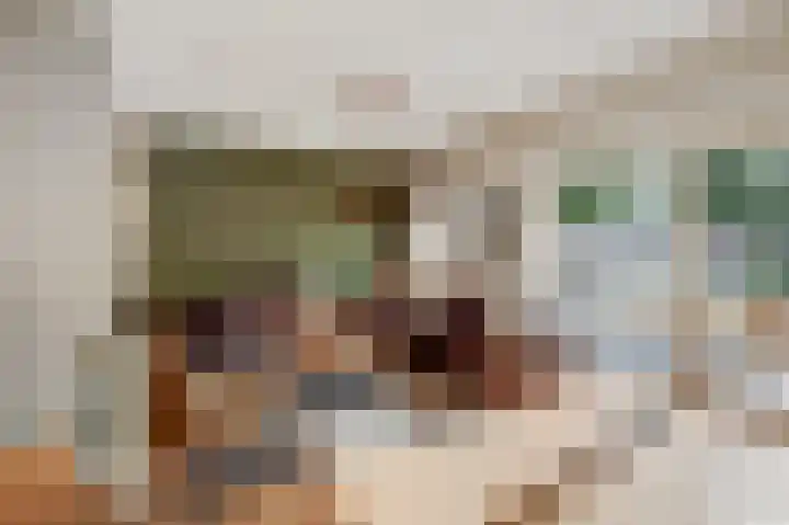 Benraatshoef 28 Raamsdonksveer thumbnail 10