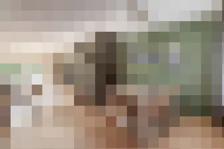 Benraatshoef 28 Raamsdonksveer thumbnail 12