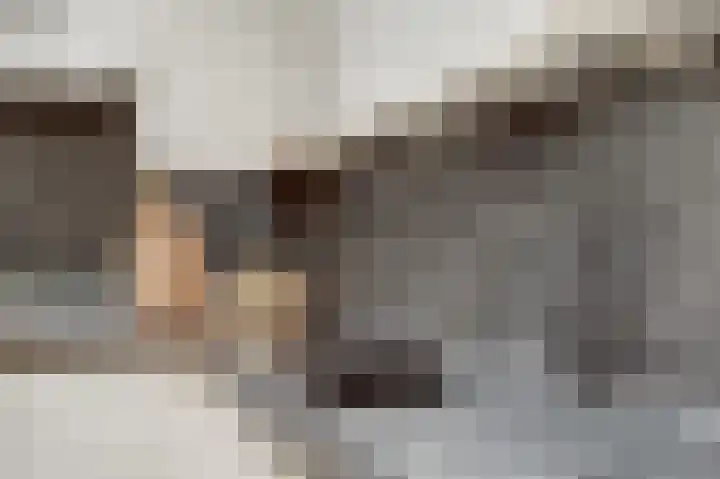 Benraatshoef 28 Raamsdonksveer thumbnail 14