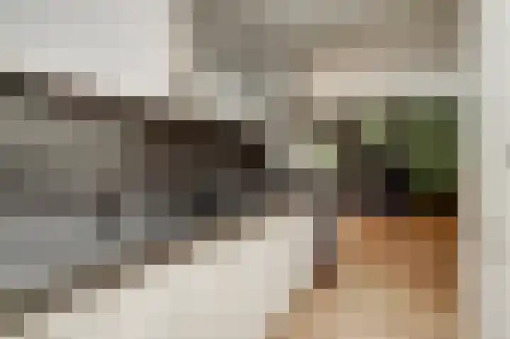 Benraatshoef 28 Raamsdonksveer thumbnail 16