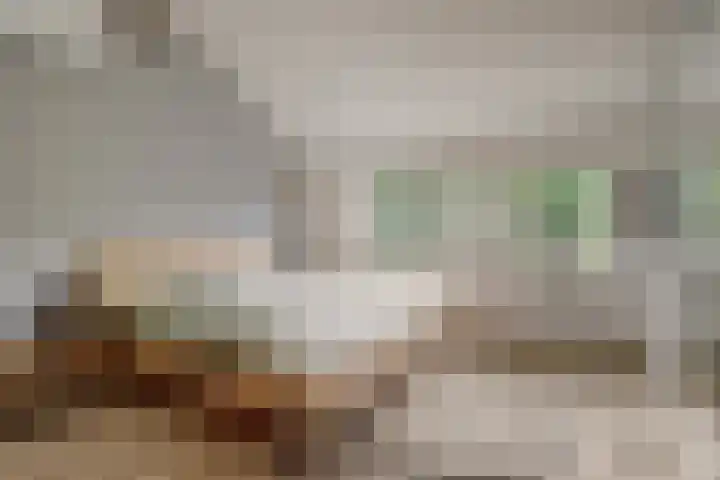 Benraatshoef 28 Raamsdonksveer thumbnail 19