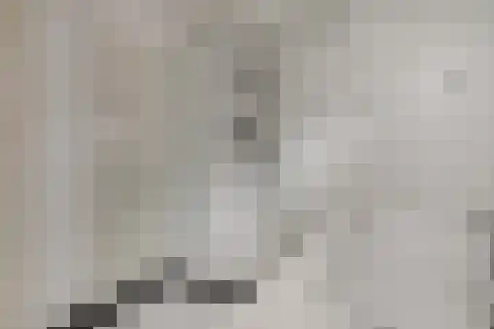 Benraatshoef 28 Raamsdonksveer thumbnail 22