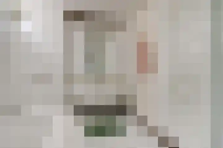 Benraatshoef 28 Raamsdonksveer thumbnail 23