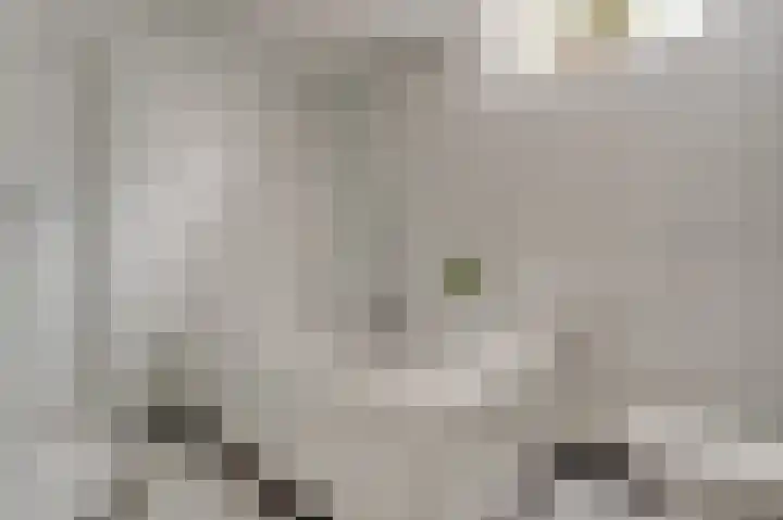Benraatshoef 28 Raamsdonksveer thumbnail 24