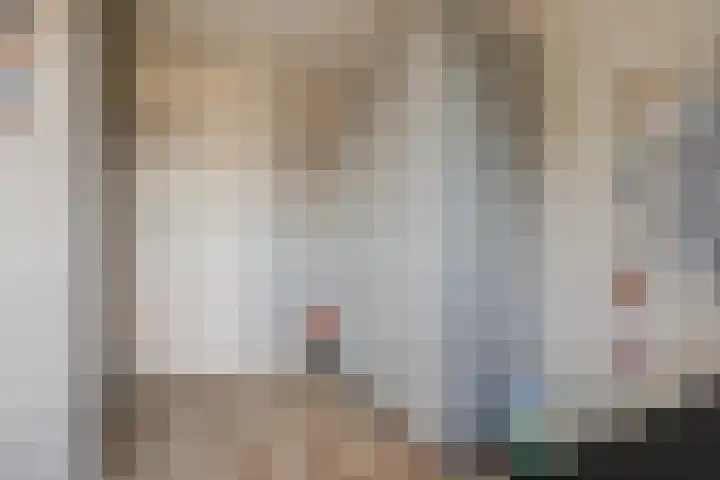 Benraatshoef 28 Raamsdonksveer thumbnail 28