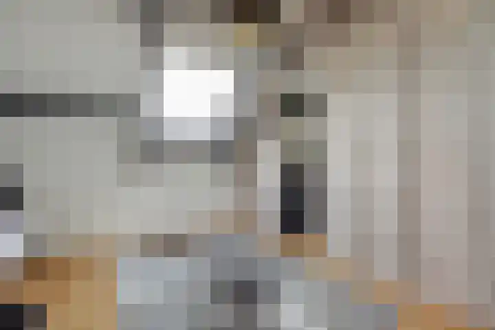 Benraatshoef 28 Raamsdonksveer thumbnail 29