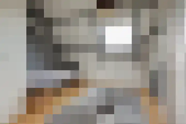 Benraatshoef 28 Raamsdonksveer thumbnail 30