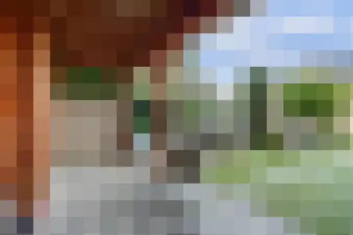 Benraatshoef 28 Raamsdonksveer thumbnail 34