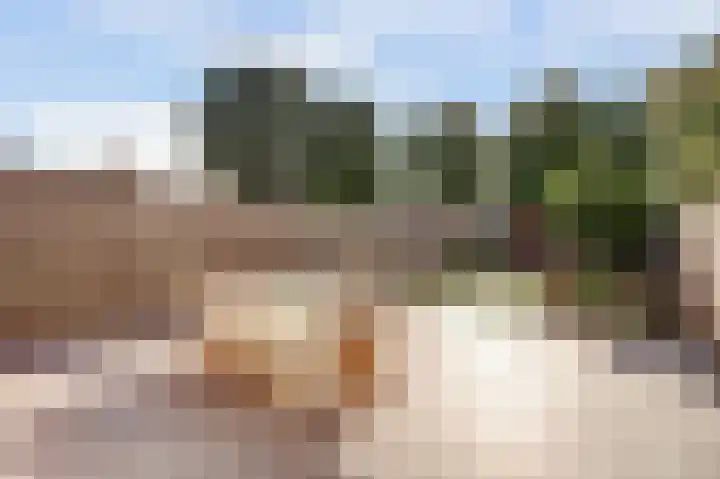 Benraatshoef 28 Raamsdonksveer thumbnail 37