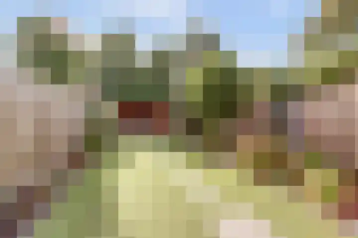 Benraatshoef 28 Raamsdonksveer thumbnail 4
