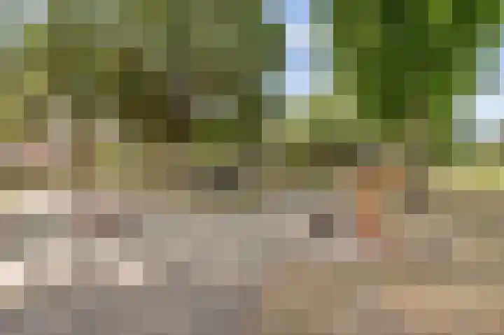 Benraatshoef 28 Raamsdonksveer thumbnail 40
