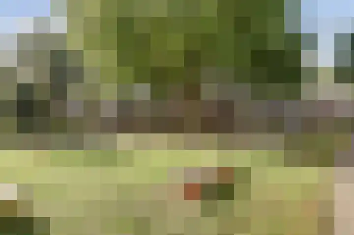 Benraatshoef 28 Raamsdonksveer thumbnail 41