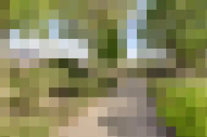 Benraatshoef 28 Raamsdonksveer thumbnail 42
