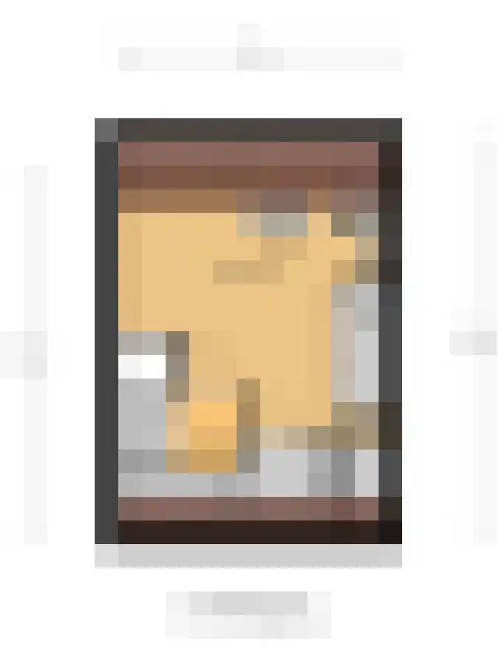 Benraatshoef 28 Raamsdonksveer thumbnail 49