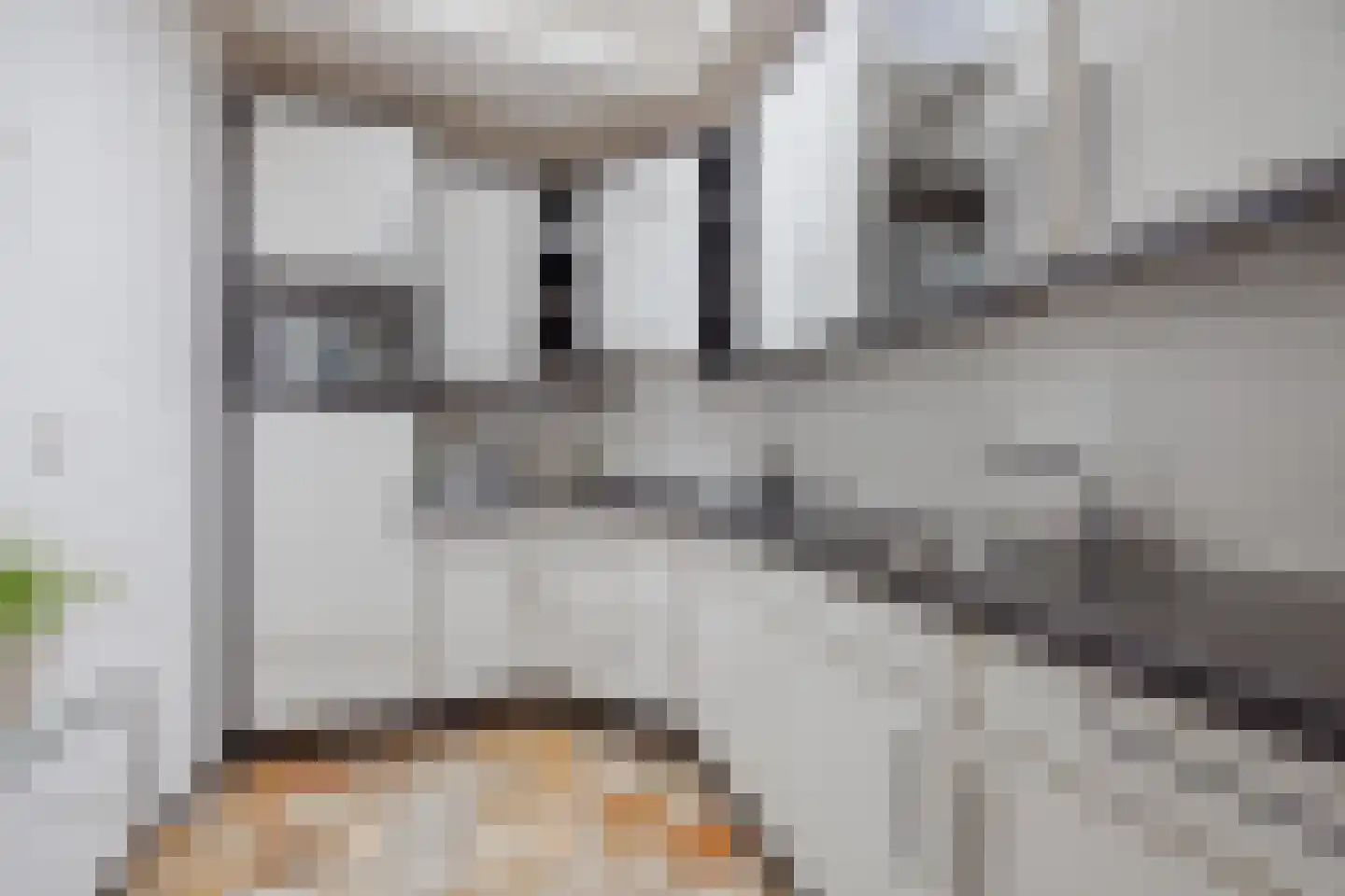 Benraatshoef 37 Raamsdonksveer thumbnail 20